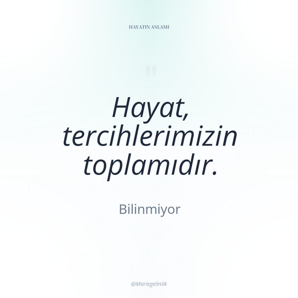 Hayat, tercihlerimizin toplamıdır.