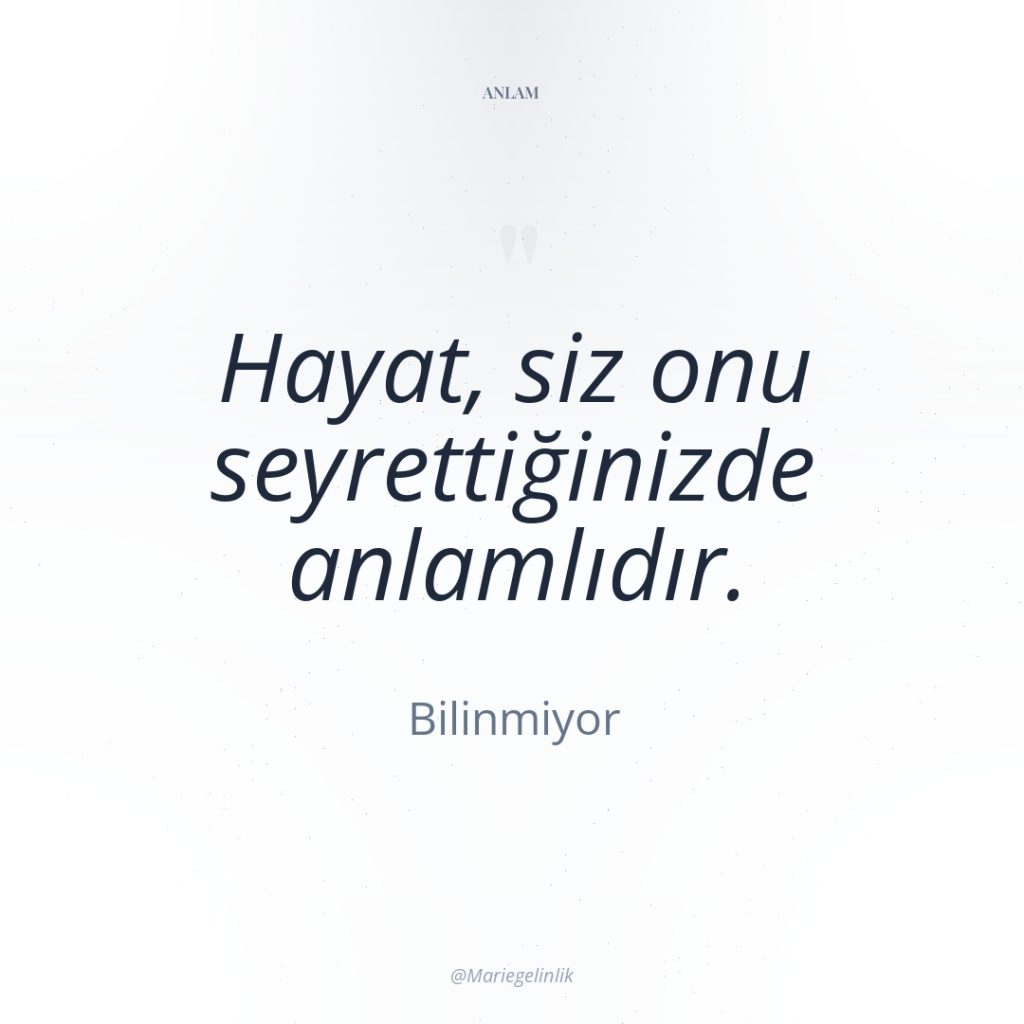 Hayat, siz onu seyrettiğinizde anlamlıdır.