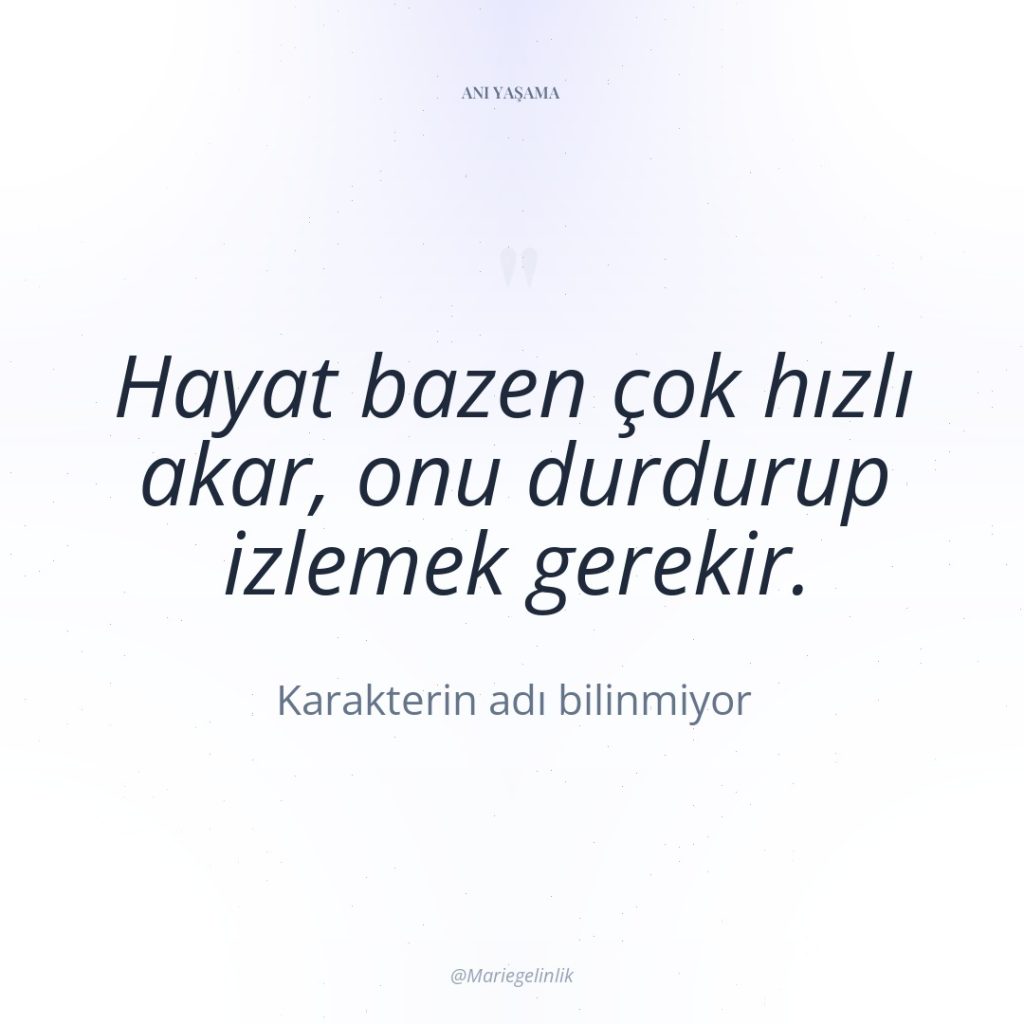 Hayat bazen çok hızlı akar, onu durdurup izlemek gerekir.