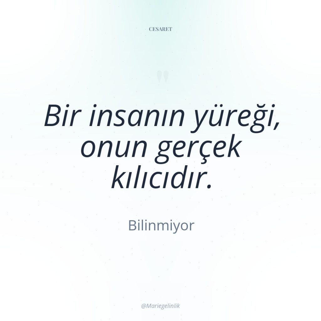 Bir insanın yüreği, onun gerçek kılıcıdır.