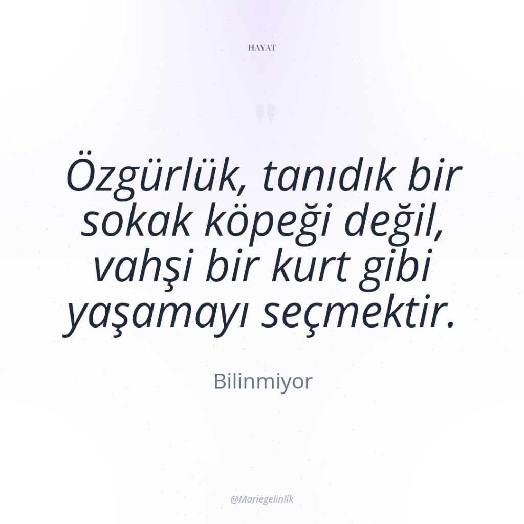 Özgürlük, tanıdık bir sokak köpeği değil, vahşi bir kurt gibi…