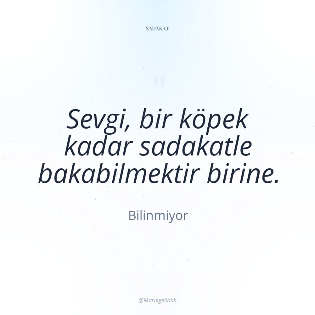 Sevgi, bir köpek kadar sadakatle bakabilmektir birine.