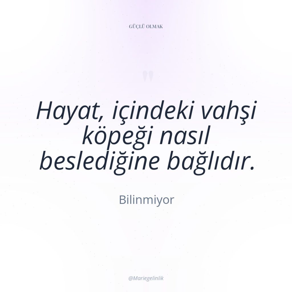 Hayat, içindeki vahşi köpeği nasıl beslediğine bağlıdır.