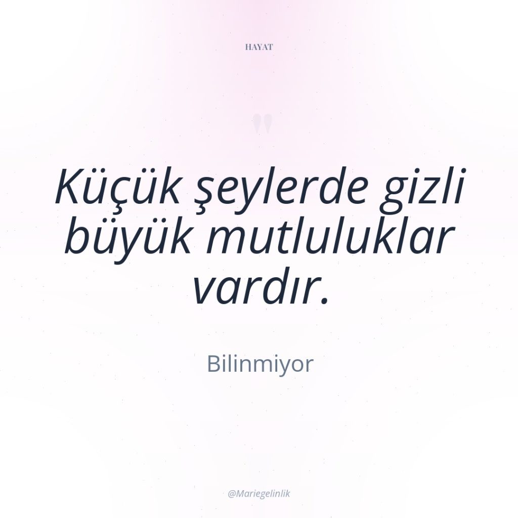 Küçük şeylerde gizli büyük mutluluklar vardır.