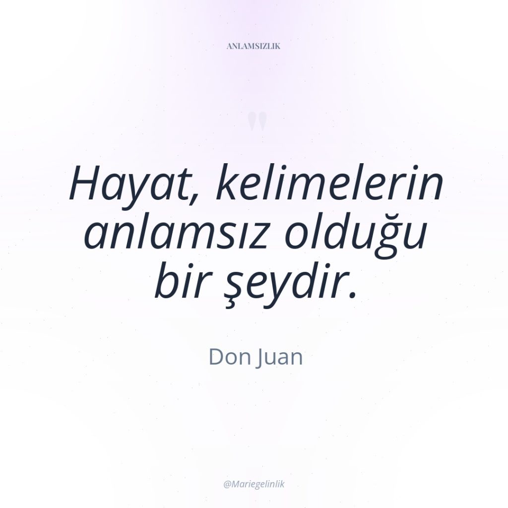 Hayat, kelimelerin anlamsız olduğu bir şeydir.