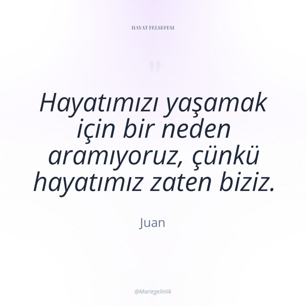 Hayatımızı yaşamak için bir neden aramıyoruz, çünkü hayatımız zaten biziz.