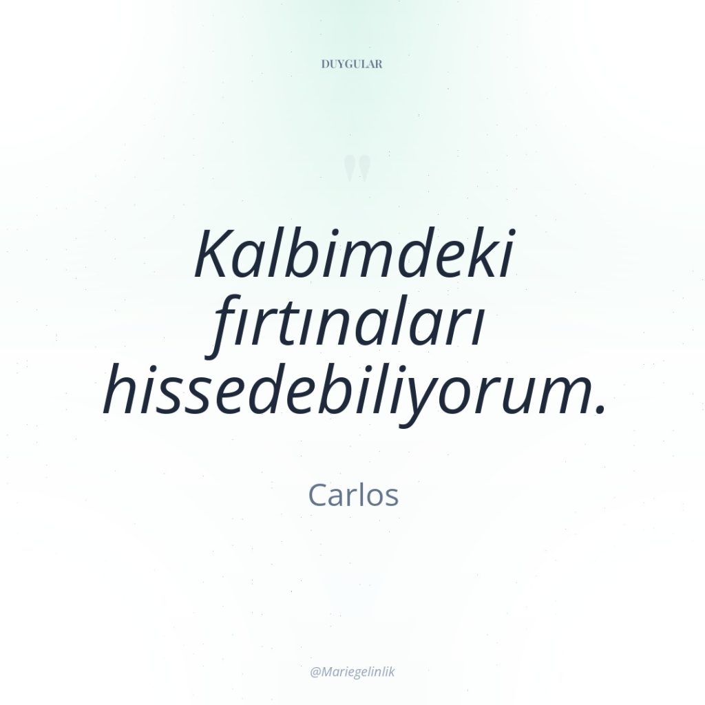 Kalbimdeki fırtınaları hissedebiliyorum.