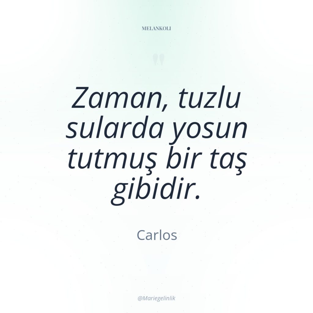 Zaman, tuzlu sularda yosun tutmuş bir taş gibidir.