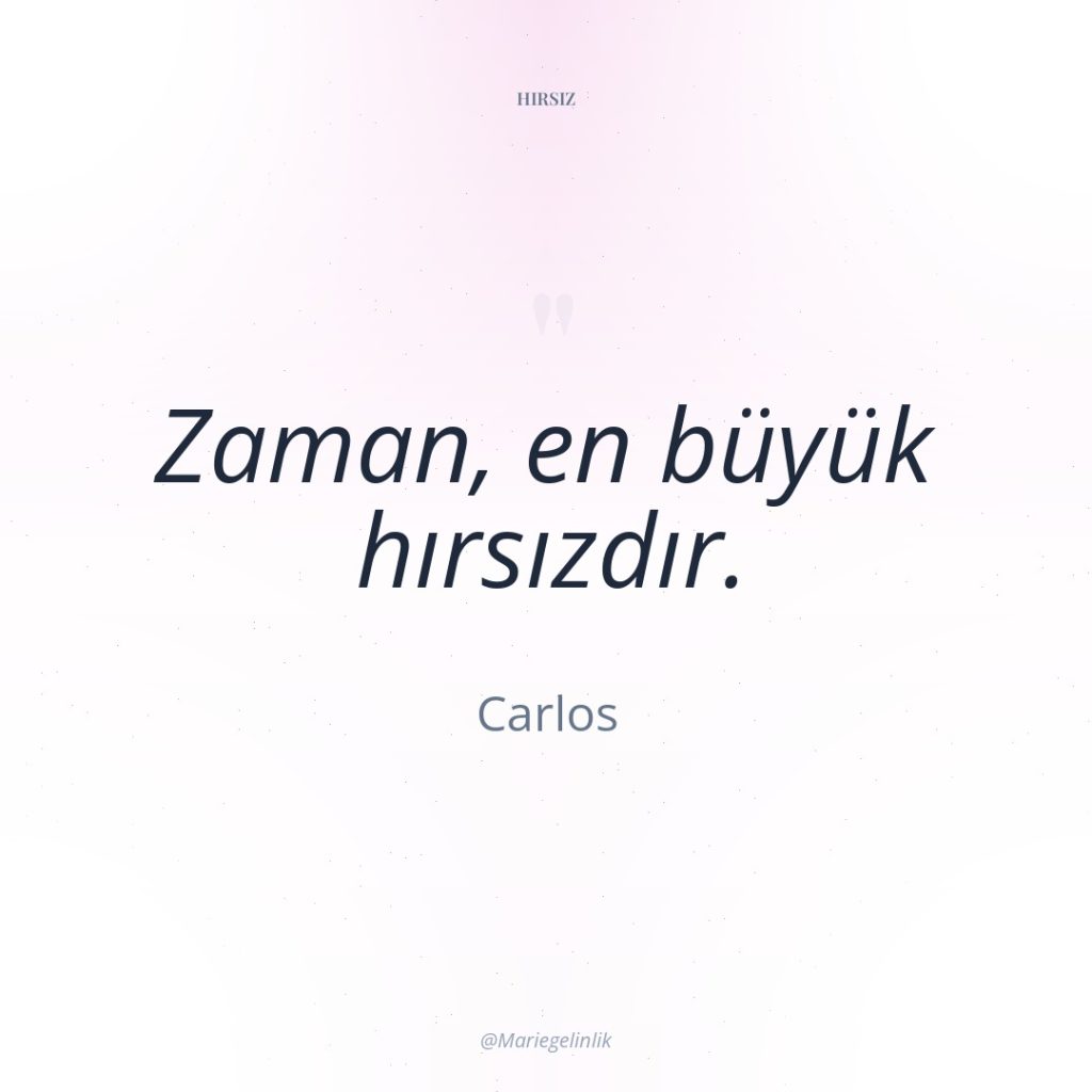 Zaman, en büyük hırsızdır.