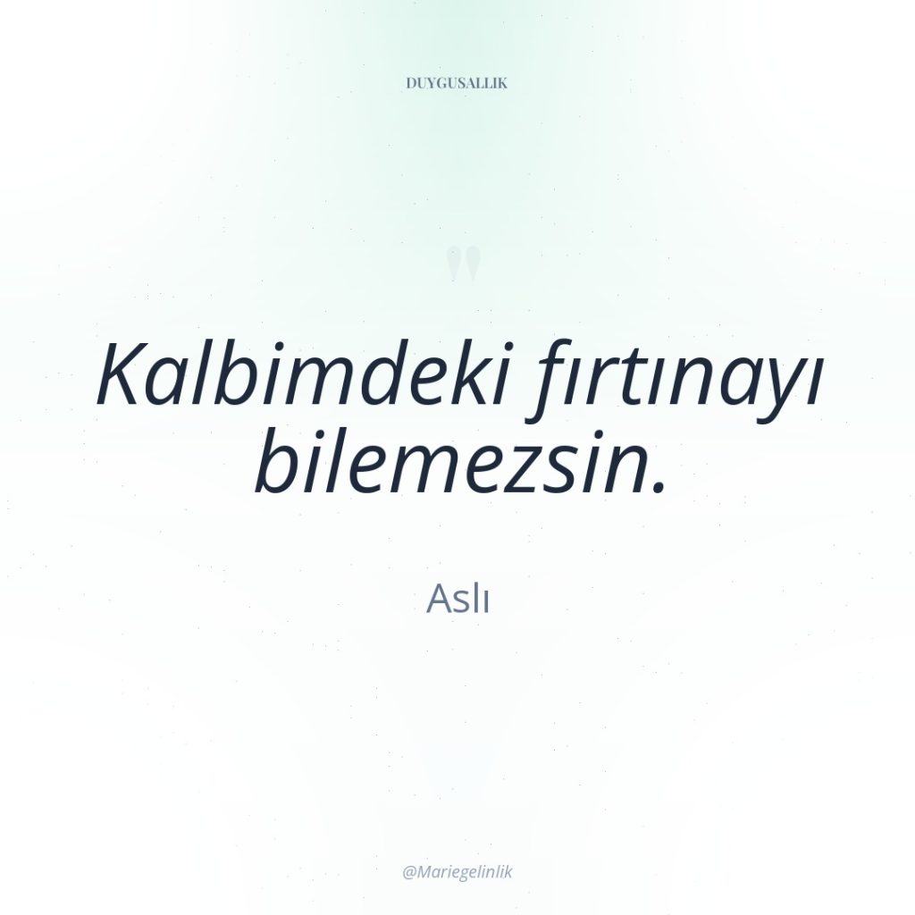 Kalbimdeki fırtınayı bilemezsin.
