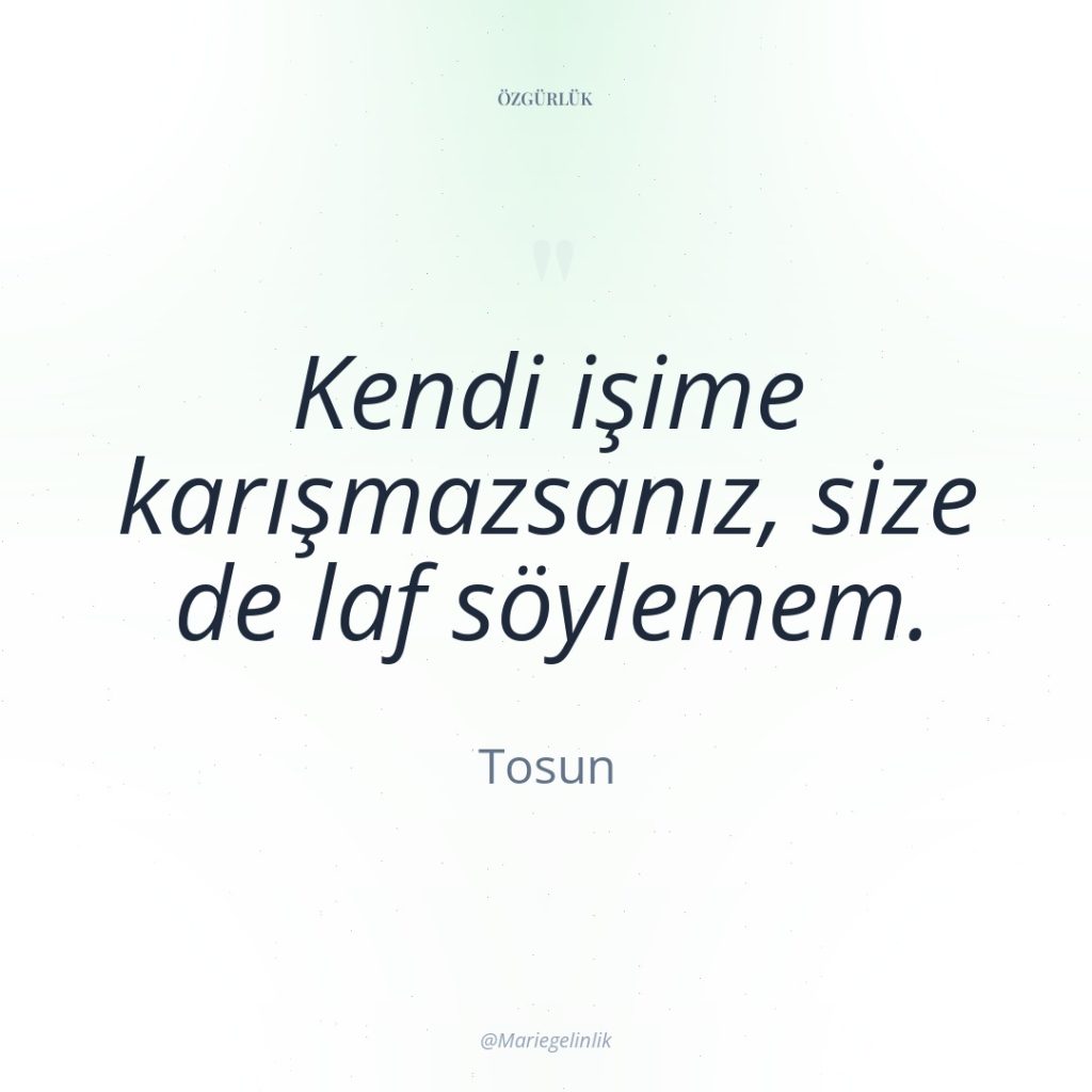 Kendi işime karışmazsanız, size de laf söylemem.