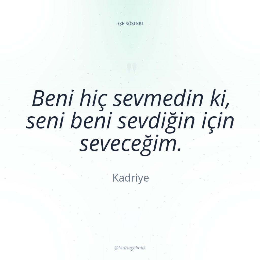 Beni hiç sevmedin ki, seni beni sevdiğin için seveceğim.