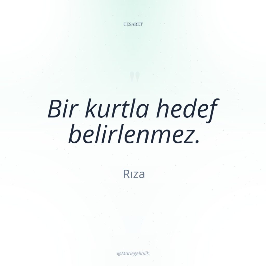 Bir kurtla hedef belirlenmez.