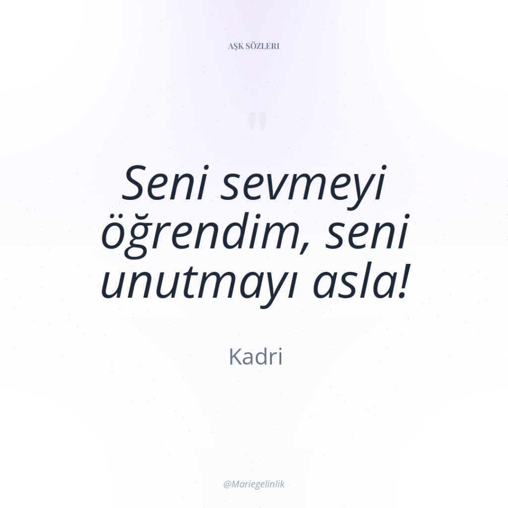 Seni sevmeyi öğrendim, seni unutmayı asla!