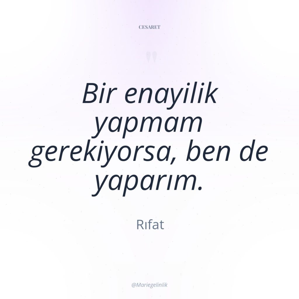 Bir enayilik yapmam gerekiyorsa, ben de yaparım.