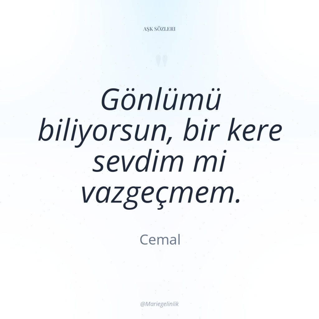 Gönlümü biliyorsun, bir kere sevdim mi vazgeçmem.