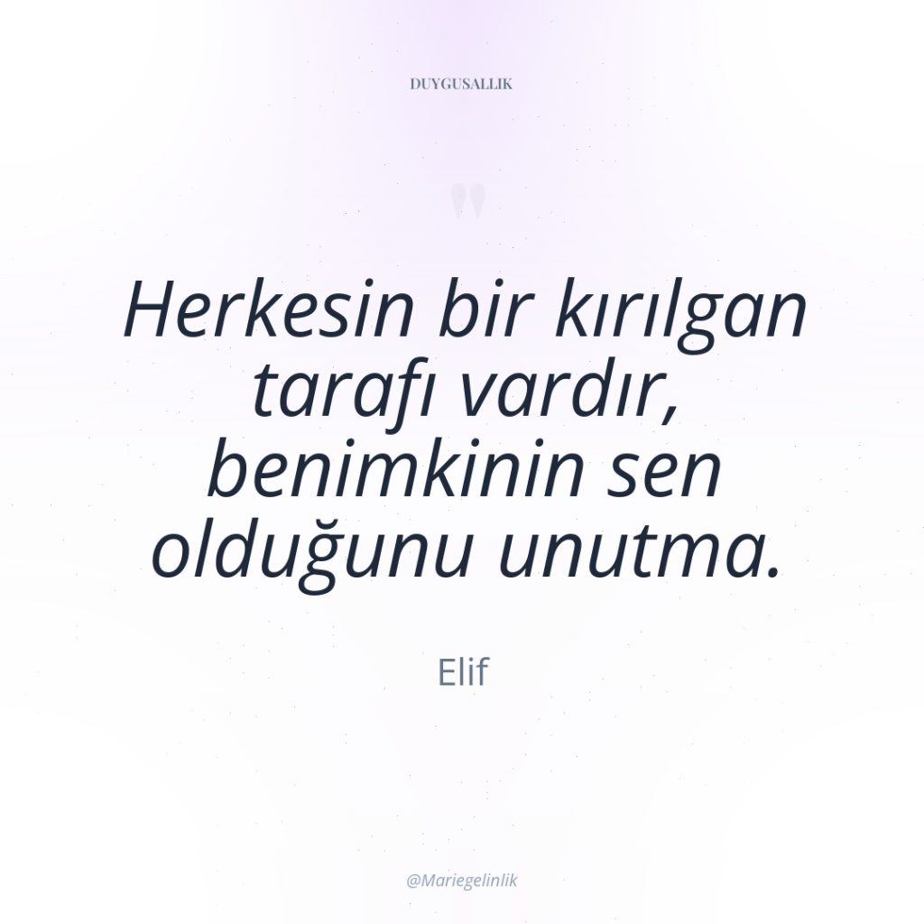 Herkesin bir kırılgan tarafı vardır, benimkinin sen olduğunu unutma.
