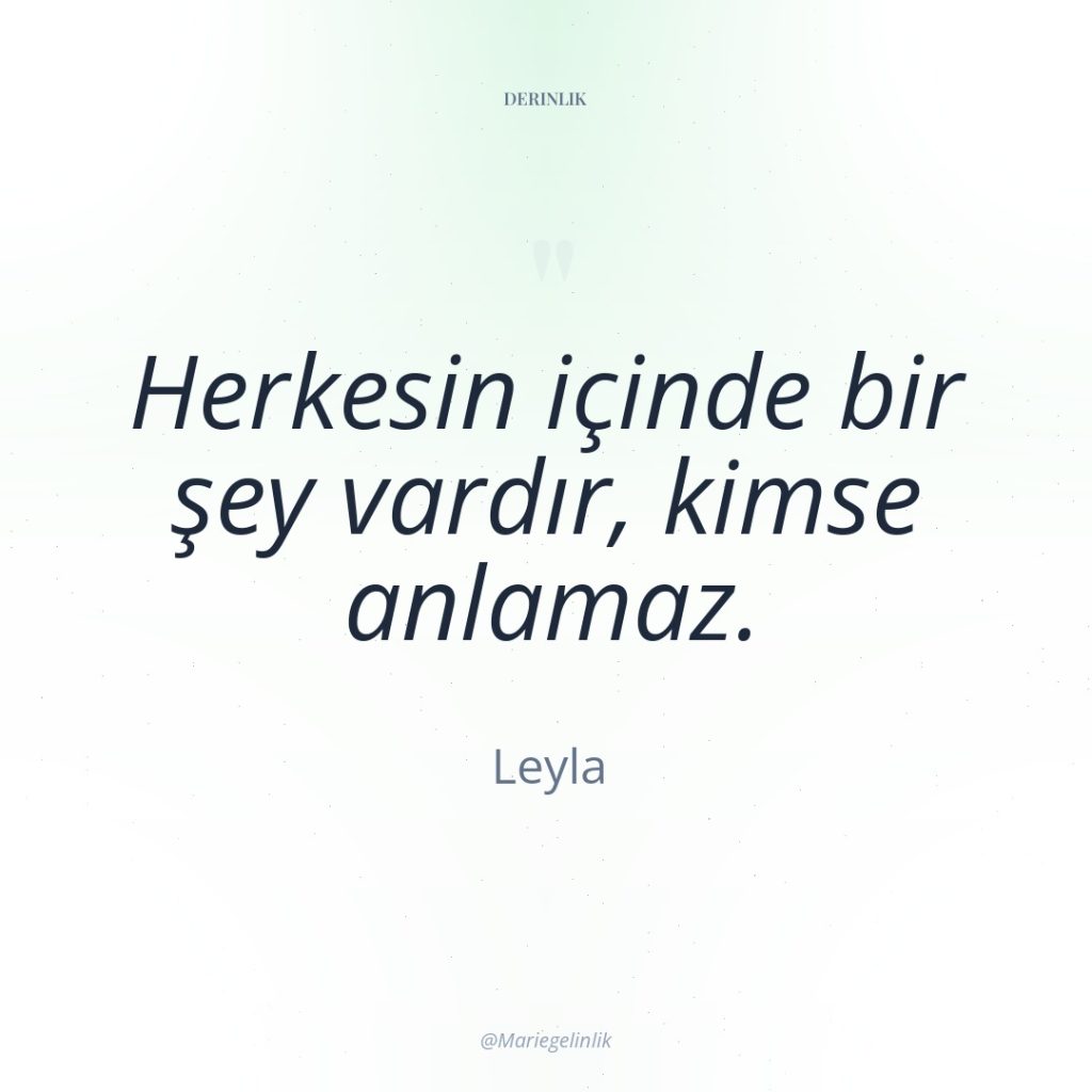 Herkesin içinde bir şey vardır, kimse anlamaz.