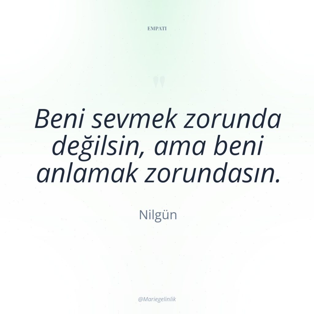 Beni sevmek zorunda değilsin, ama beni anlamak zorundasın.