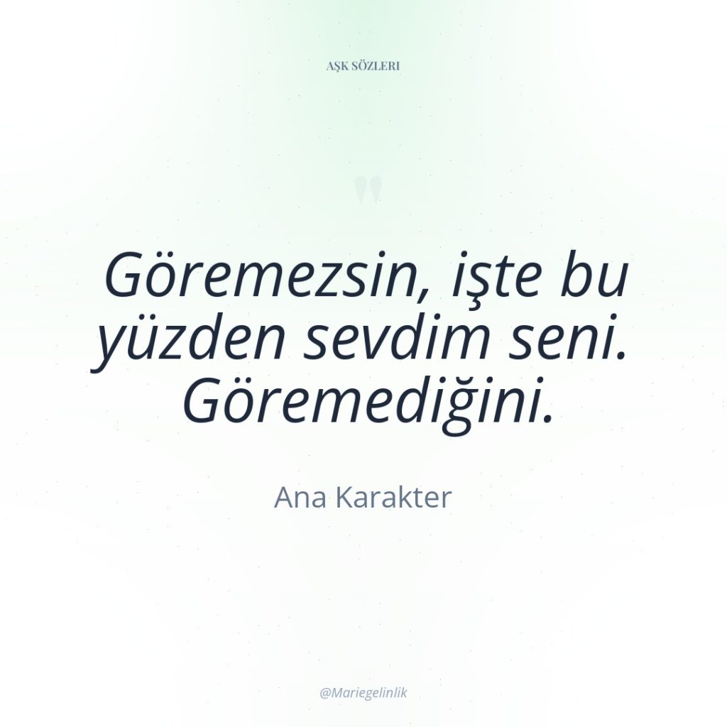 Göremezsin, işte bu yüzden sevdim seni. Göremediğini.