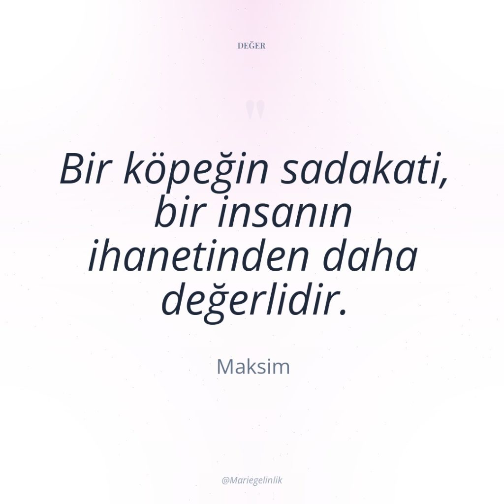 Bir köpeğin sadakati, bir insanın ihanetinden daha değerlidir.