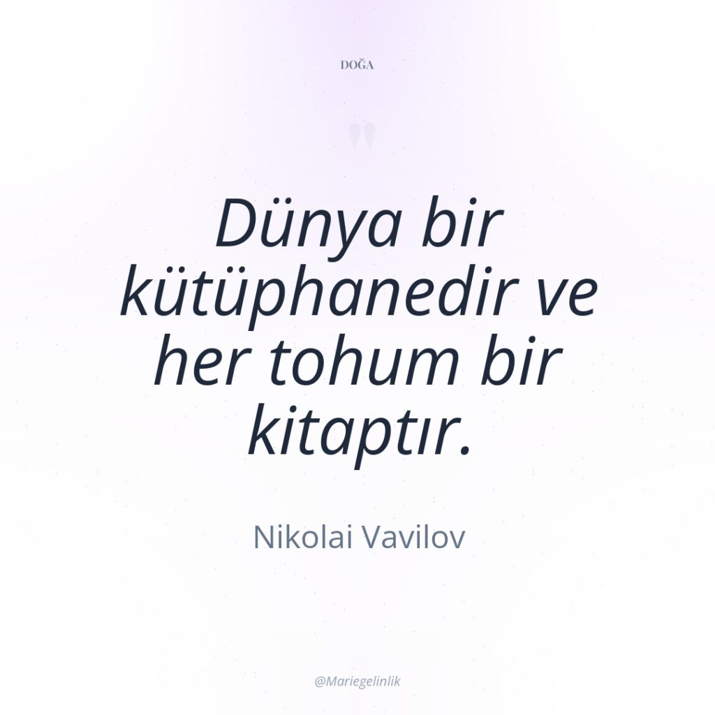 Dünya bir kütüphanedir ve her tohum bir kitaptır.