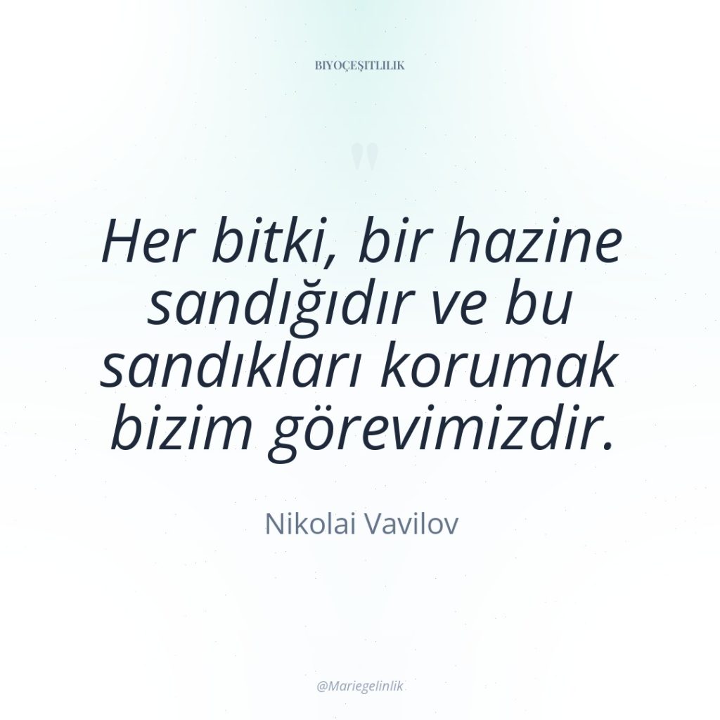 Her bitki, bir hazine sandığıdır ve bu sandıkları korumak bizim…