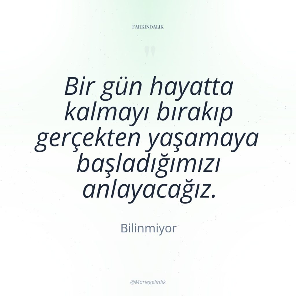 Bir gün hayatta kalmayı bırakıp gerçekten yaşamaya başladığımızı anlayacağız.