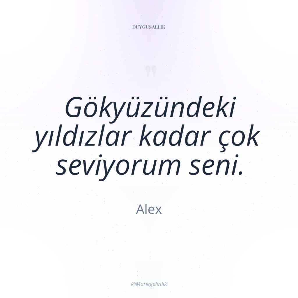 Gökyüzündeki yıldızlar kadar çok seviyorum seni.